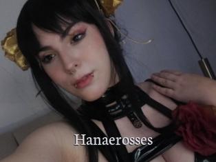 Hanaerosses