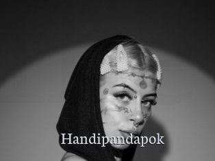 Handipandapok