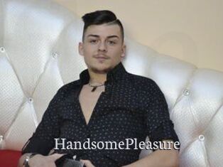 HandsomePleasure