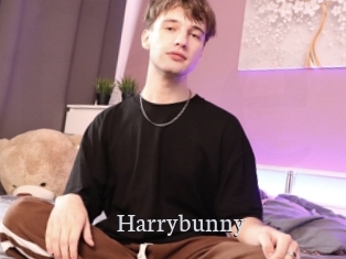 Harrybunny