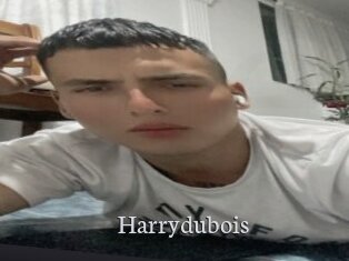 Harrydubois