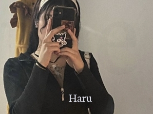 haru Free Host Empire