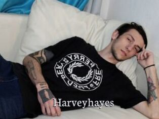 Harveyhayes