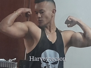 Harveytecson
