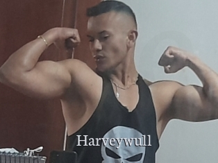 Harveywull