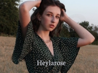 Heylarose