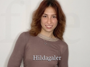 Hildagaler