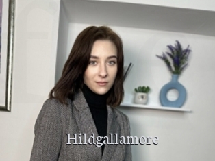 Hildgallamore