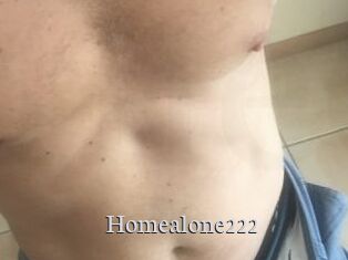 Homealone222