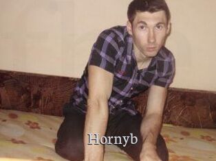 Hornyb