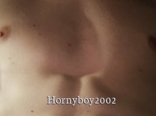 Hornyboy2002