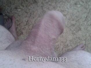 Hornydan1733