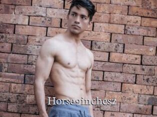 Horse9inchesz