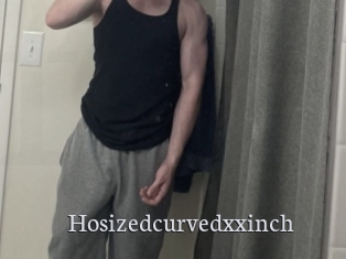 hosizedcurvedxxinch Free Host Empire
