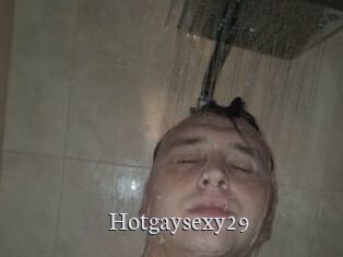 Hotgaysexy29