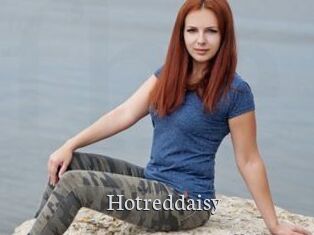 Hotreddaisy