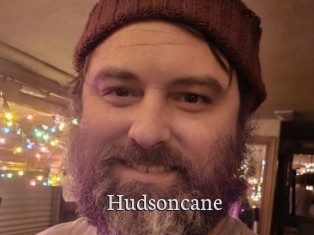 Hudsoncane