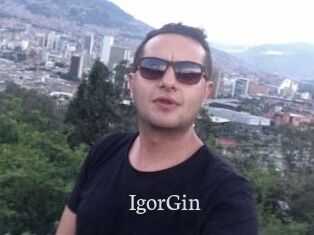 IgorGin