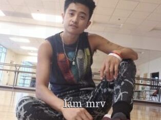 Iam_mrv