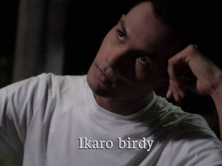 Ikaro_birdy