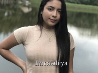 Imcataleya