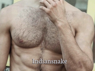 Indiansnake