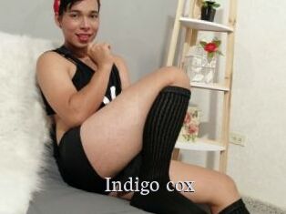 Indigo_cox