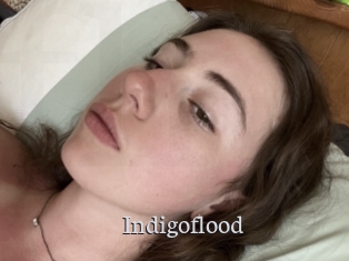 indigoflood Free Host Empire