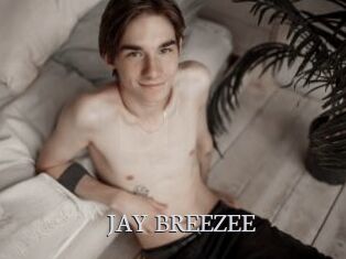 JAY_BREEZEE