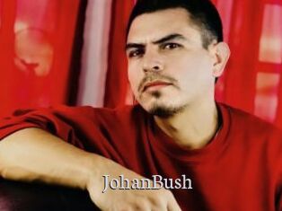 JohanBush