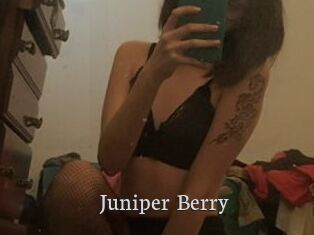 Juniper_Berry
