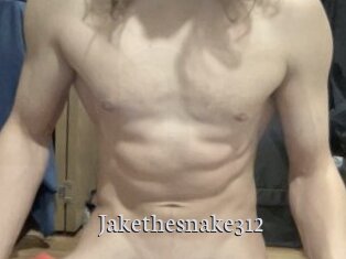Jakethesnake312
