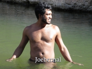 Joebernal