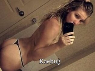 Kaebug