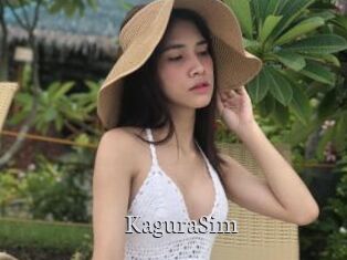 KaguraSim
