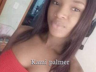 Kami_palmer