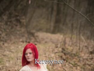 Kerosynee