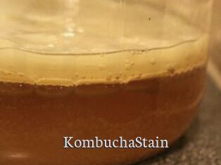 KombuchaStain