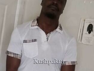 Kushpak111