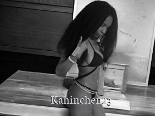 Kaninchen23