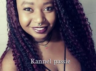 Kannel_passie