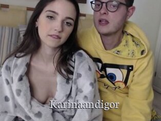 Karinaandigor
