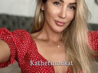 Katherinnekat