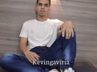 Kevingaviria