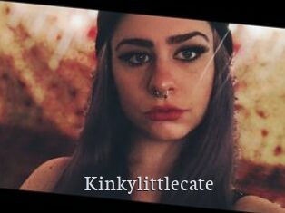 Kinkylittlecate