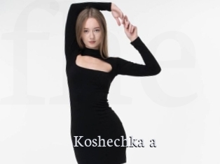 Koshechka_a