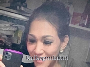 Kulkoginikutifi
