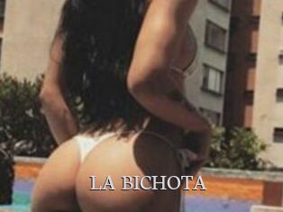LA_BICHOTA