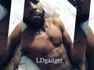 LDgadget