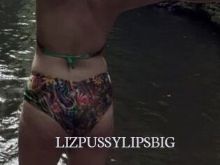 LIZPUSSYLIPSBIG